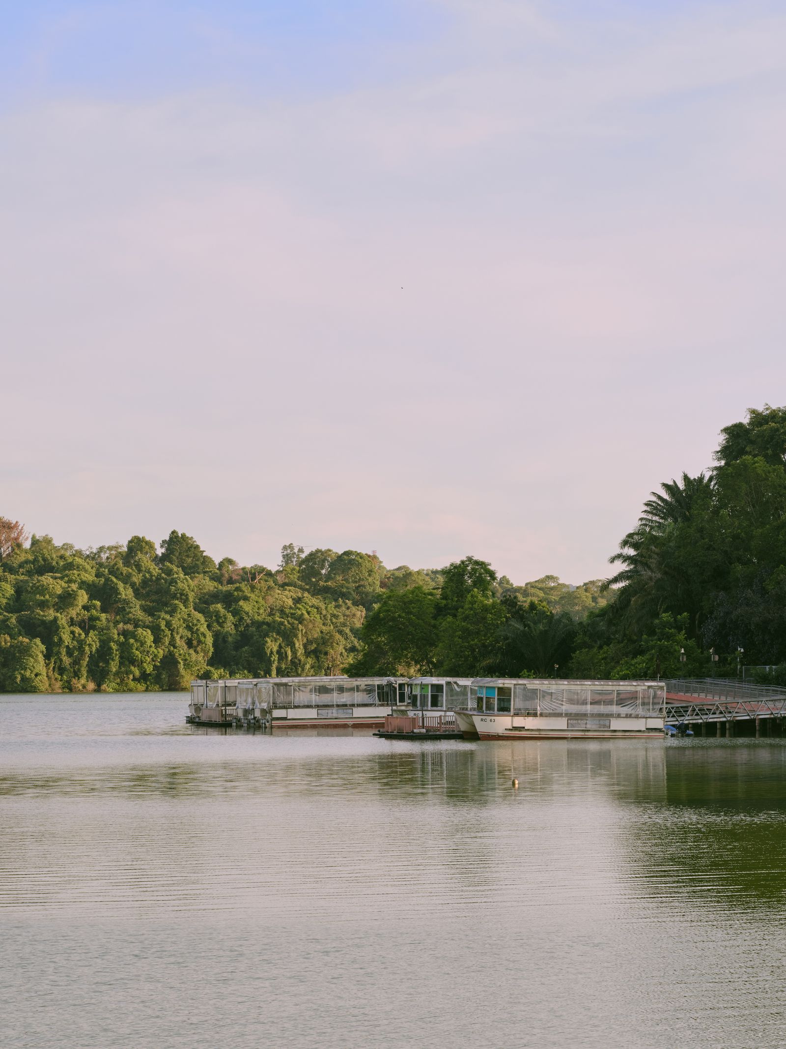 MacRitchie Reservoir in Singapore with forested shoreline and boats at the jetty